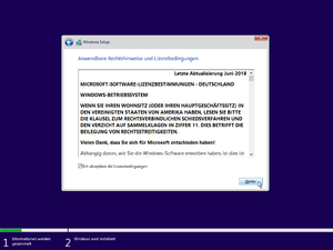 Windows 10-Installation (05).png