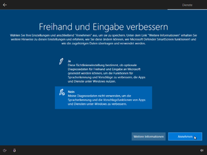 Windows 10-Installation (23).png