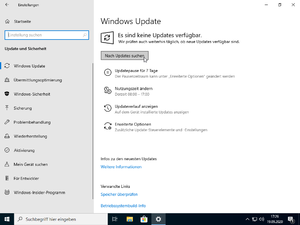 Windows 10-Installation (29).png