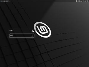 Linux Mint 20-Installation (12).png